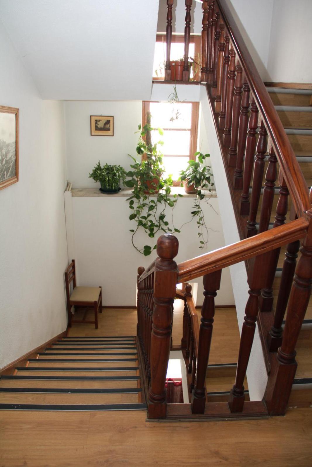 Bed and Breakfast Residencial Parque Селоріку-да-Бейра Екстер'єр фото